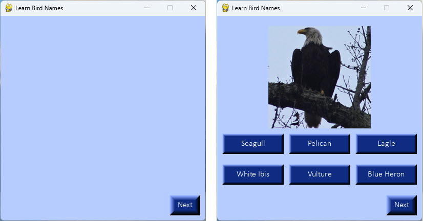 Application start and first card example